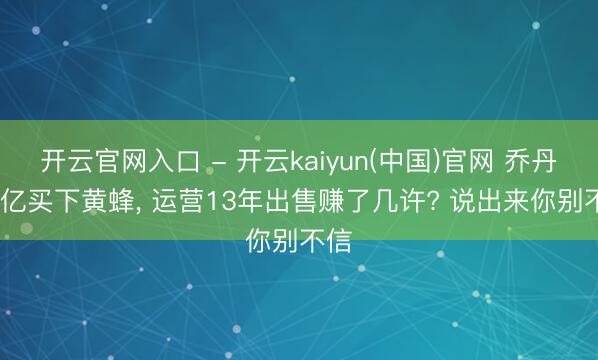 开云官网入口 - 开云kaiyun(中国)官网 乔丹2.7亿买下黄蜂， 运营13年出售赚了几许? 说出来你别不信