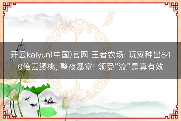 开云kaiyun(中国)官网 王者农场: 玩家种出840倍云缨桃, 整夜暴富! 领受“流”是真有效