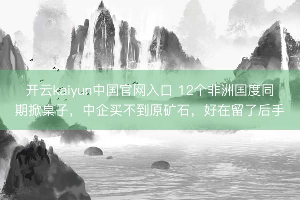 开云kaiyun中国官网入口 12个非洲国度同期掀桌子，中企买不到原矿石，好在留了后手